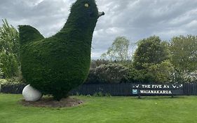 The Big Chook Accommodation